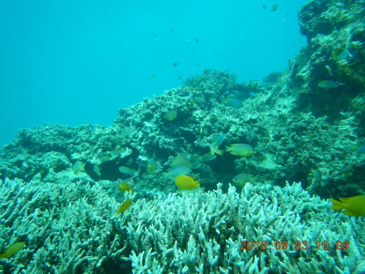 海之恋 Villa Miyako-jima Luaran gambar